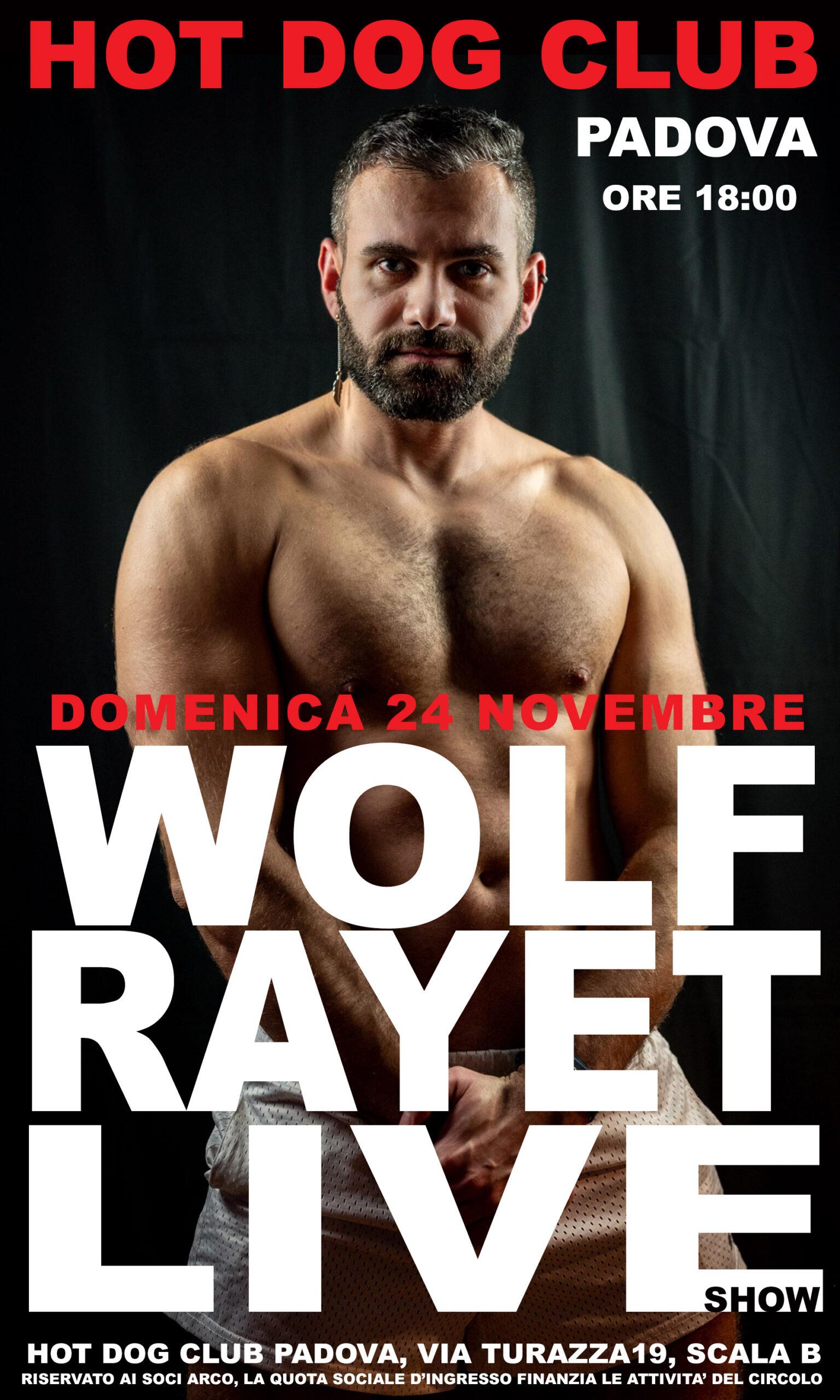 WOLFNOVEMBRE24